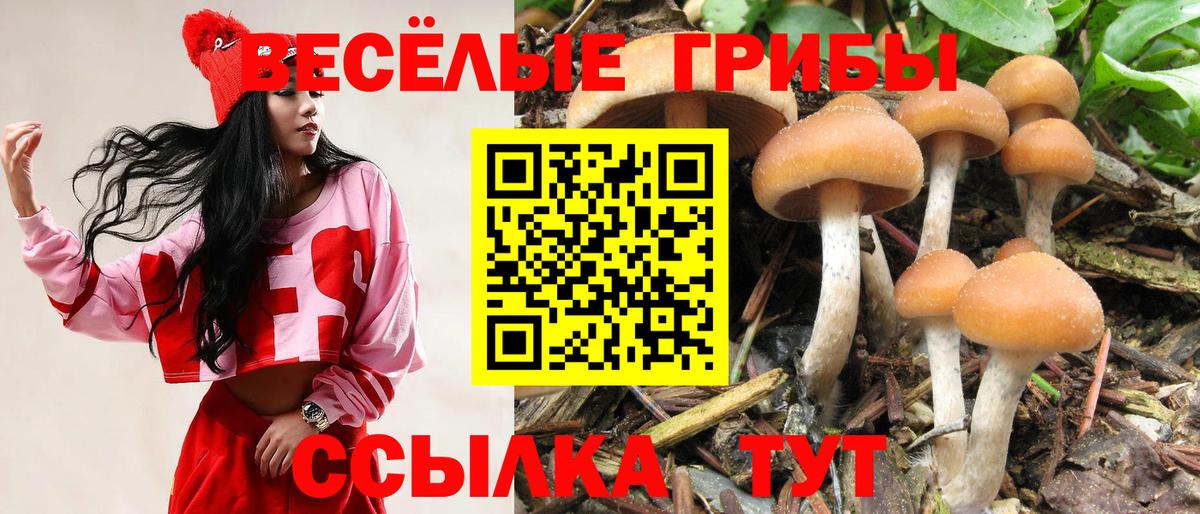 Галлюциногенные грибы Psilocybe  Вход с VPN  Псилоцибиновые грибы мухоморы  Луховицы 