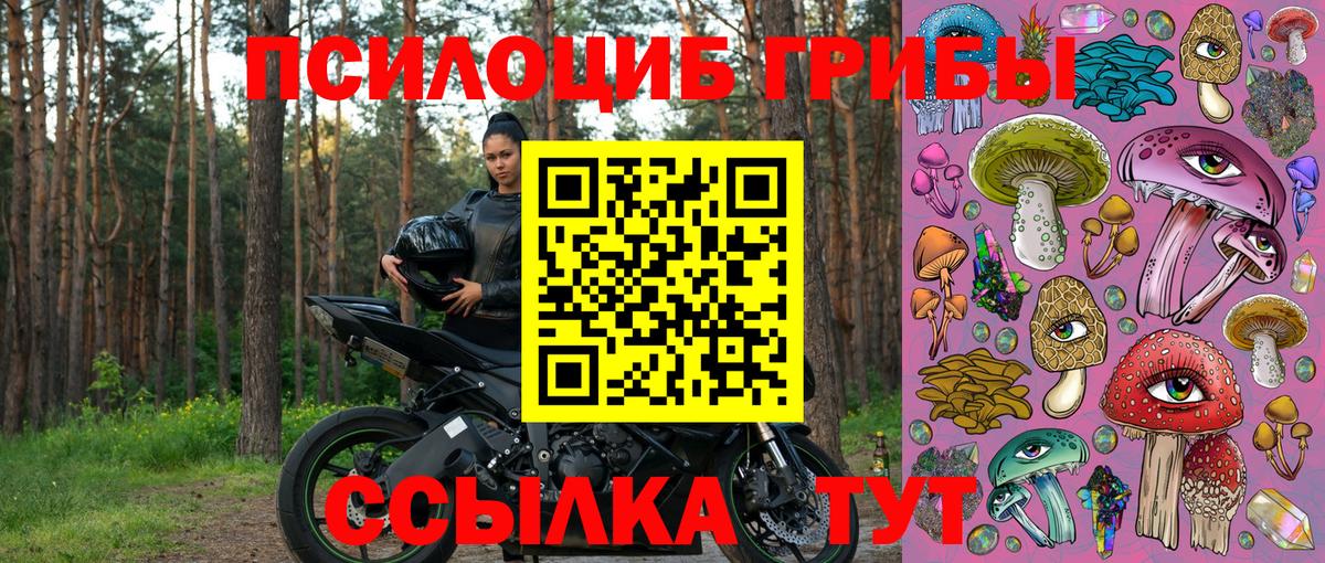 Галлюциногенные грибы Psilocybine cubensis Луховицы